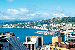 Terrace Heights