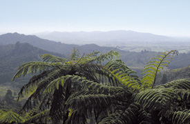 Hillside Hotel & Nature Resort