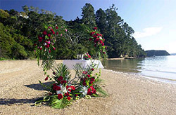 Beachcomber Resort