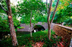 Hamilton Gardens