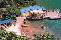 Punga Cove Resort