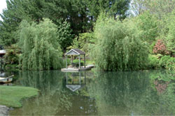 Robinsons Sports Museum & Gardens