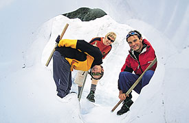Fox Glacier Guiding