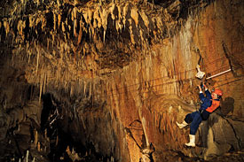 Waitomo Adventures