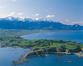 Whale Watch Kaikoura