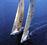 SailNZ - NZL40 & NZL41