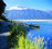 Haast River Safari