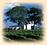 Drylands Estate Winery