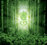 Realm of Tane