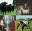 Farm To Farm Tours