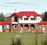 Te Anau Lodge Ltd