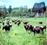 Agri-Travel International