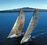 Explore NZ — Sail NZ & Auckland's Dolphin & Whale Safari