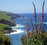 Banks Peninsula Track