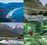 Hollyford Track