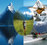 Southern Alps Air