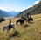 High Country Horses
