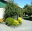 Rangiora Lodge Motel