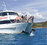 Kings Dolphin Cruises & Tours