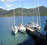 Charterlink Marlborough