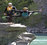 Serious Fun River Surfing
