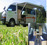Go Birdz Rentals