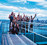 Auckland Bungy and Bridge Climb