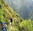 Milford, Routeburn and Kepler Independent Great Walks