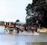 Matakana Island Tourism Co Ltd