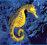 NZ Marine Studies Centre and Aquarium