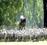 New Zealand Farm Holidays Ltd