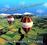 Aoraki (Hot Air) Balloon Safaris