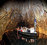 Waitomo Glowworm Caves