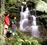 Whirinaki Rainforest Guided Walks and Treks