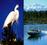 White Heron Sanctuary