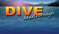 Dive Marlborough ~ Water Activities in Centre Stage