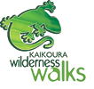 Kaikoura Wilderness Walks ~ Hiking / Walks Activities in Kaikoura