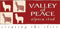 Valley Of Peace Alpaca Stud ~ Farm Tour / Display Activities in Canterbury