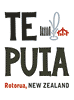 Te Puia ~ Land Activities in Rotorua