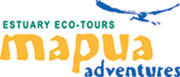 Mapua Adventures ~ Wildlife Watching Activities in Nelson