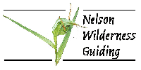 Golden Downs Lodge & Nelson Wilderness Guiding ~ Hiking / Walks Activities in Centre Stage