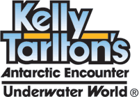 Kelly Tarlton's Antarctic Encounter and Underwater World ~ Wildlife Reserve / Aquarium Attractions in Auckland