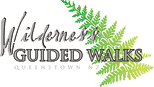 Wilderness Guided Walks ~ Hiking / Walks Activities in Queenstown