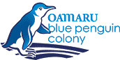 Oamaru Blue Penguin Colony ~ Wildlife Watching Activities in Waitaki