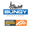 Auckland Bungy and Bridge Climb ~   in 