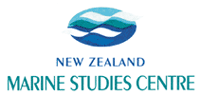 NZ Marine Studies Centre and Aquarium ~ Wildlife Watching Activities in Dunedin & Coastal Otago
