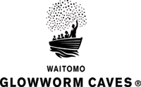 Waitomo Glowworm Caves ~ Sightseeing Activities in Waitomo
