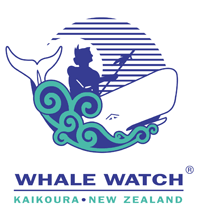 Whale Watch Kaikoura ~ Wildlife Watching Activities in Kaikoura