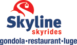 Skyline Skyrides Rotorua ~ Land Activities in Rotorua