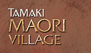 Tamaki Maori Village ~ Cultural Attractions in Rotorua
